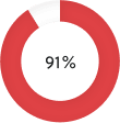 pie-chart-91%