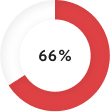 pie-chart-66%