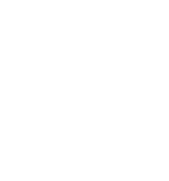 Disruptive Logo with Overlay